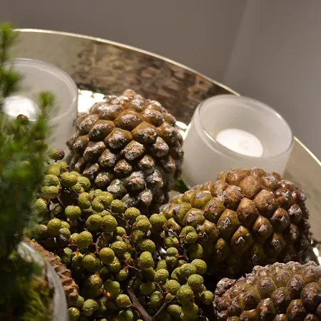 Ocean-view-i-holiday-apartments-sylt *