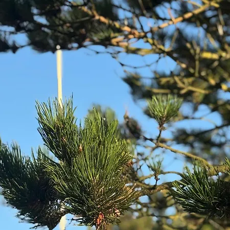 Ocean-view-i-holiday-apartments-sylt Apartment *